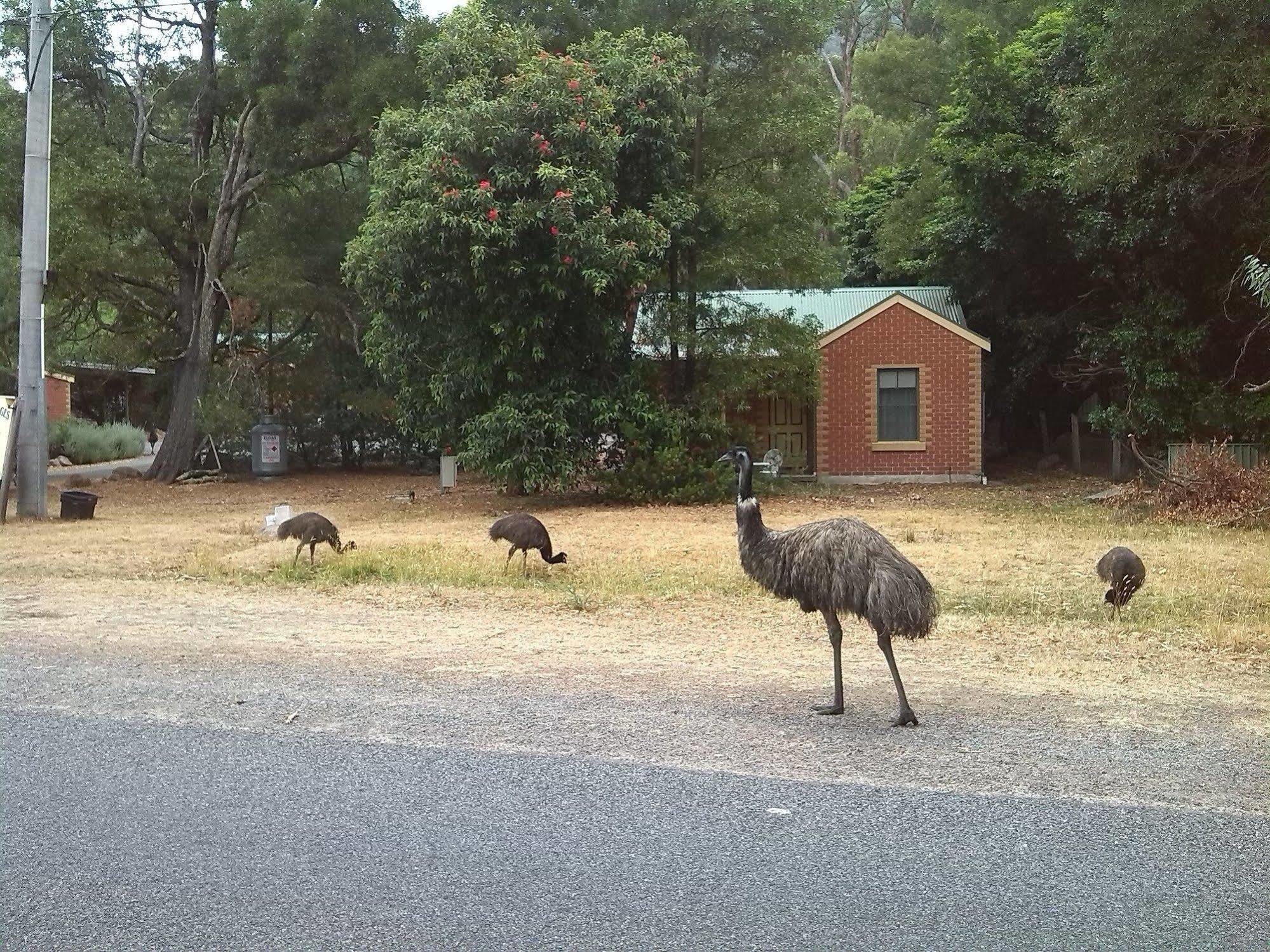 Heatherlie Cottages Halls Gap Exterior photo